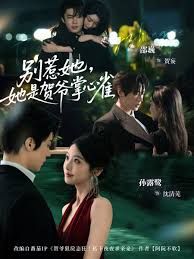 别惹她，她是贺爷掌心雀