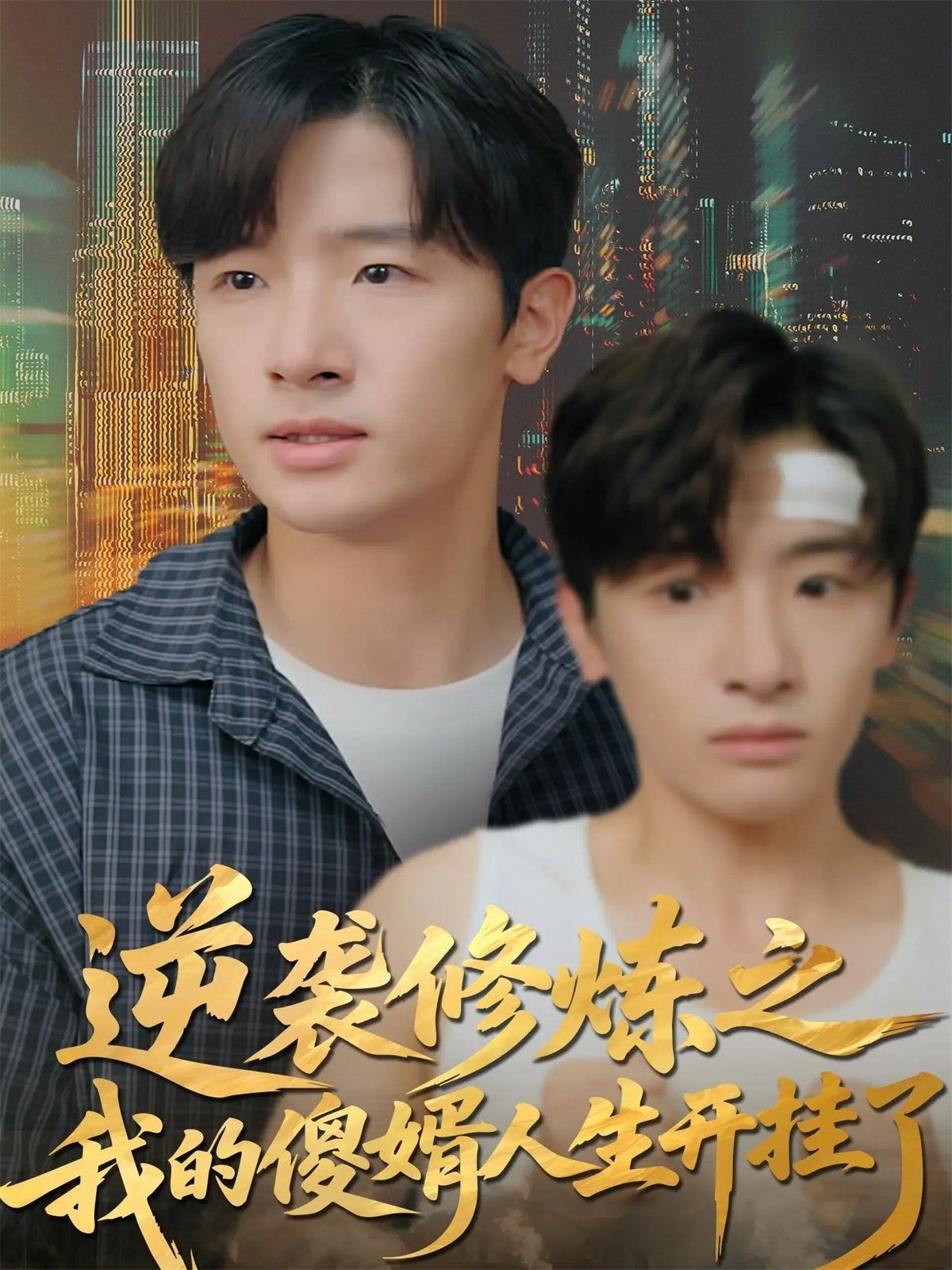 逆袭修炼之我的傻婿人生开挂了